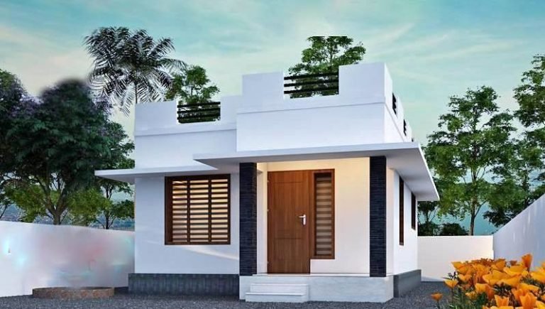 700 Square Feet 2 Bedroom Single Floor Modern Flat Roof House And Interior Home Pictures